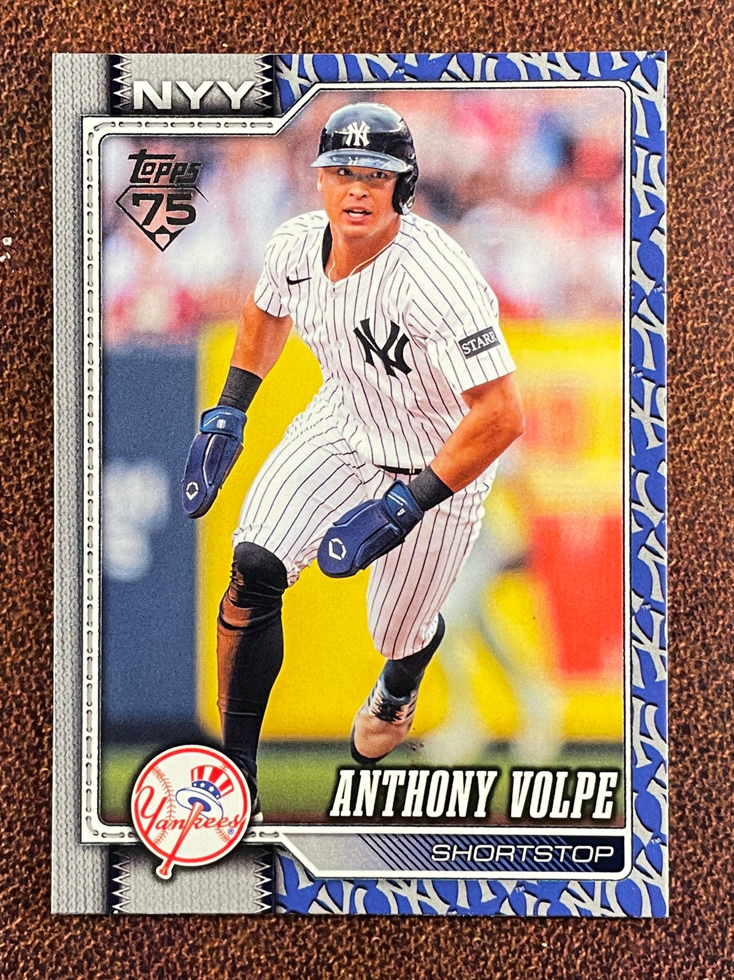 Anthony Volpe - 2026 Topps Series 1 - Team Border - Yankees